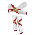 Florida Flag - Arm And Leg Sleeves-S-Global Cycling Gear